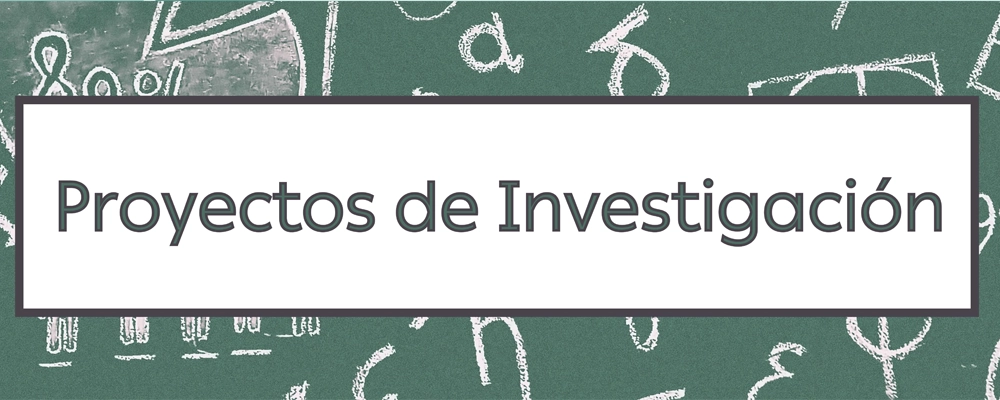 Proyectos de investigación